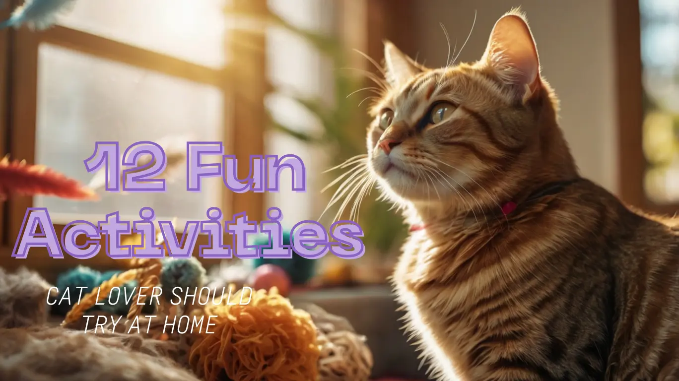 Blog banner showing fun indoor activities for cat lovers with a playful domestic cat enjoying toys and enrichment in a cozy home
